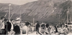 På sildesalteriet til Olav Hendriksen i Siglufjördur på 1960 tallet På sildesalteriet til Olav Hendriksen i Siglufjördur på 1960 tallet