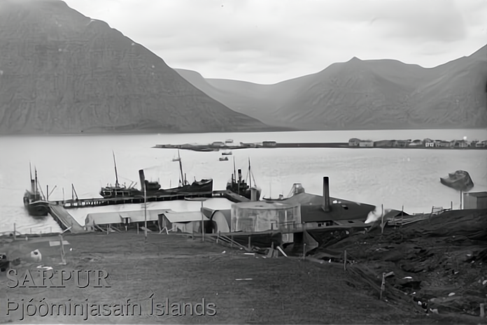 Hvalstasjonen Solbakki i Önundarfjord - etablert av Hans Ellefsen fra Stokke 
