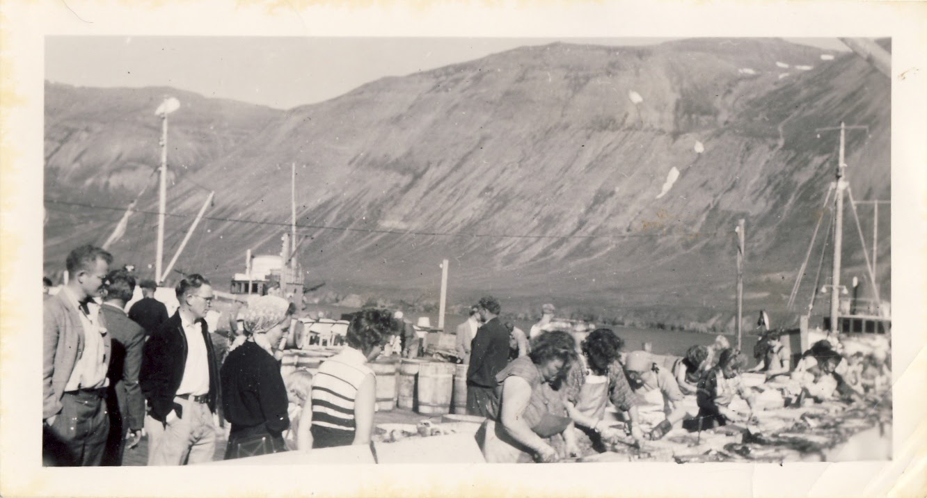 Síldarsöltun hjá Olav Hendriksen Siglufjörður