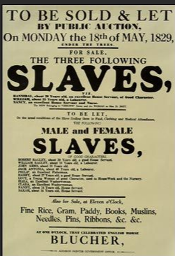 Slaveriet og utryddelsen av urbefolkningen dannet grunnlaget for America first Slaveriet og utryddelsen av urbefolkningen dannet grunnlaget for America first